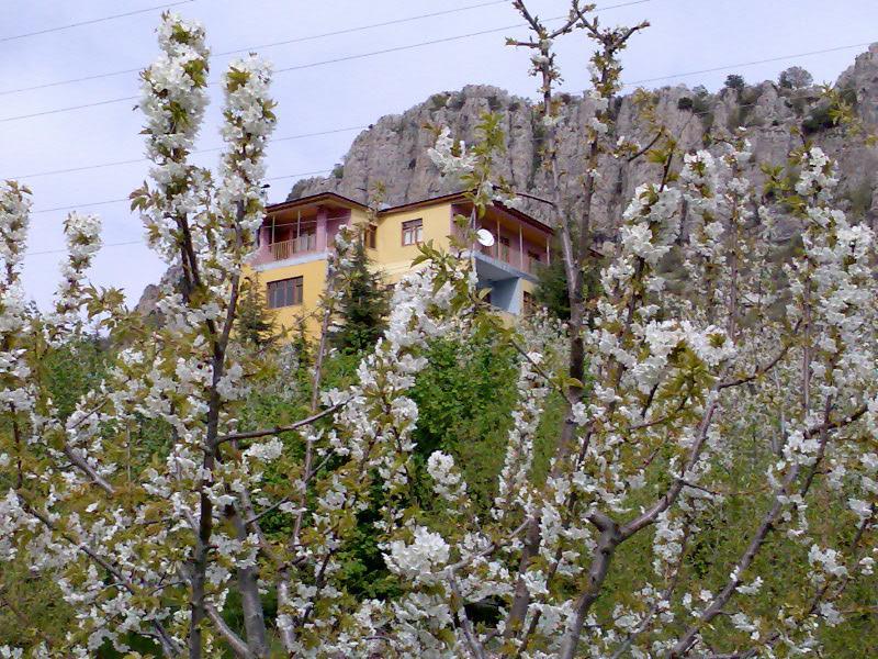 Aladag Dag Otel Esterno foto